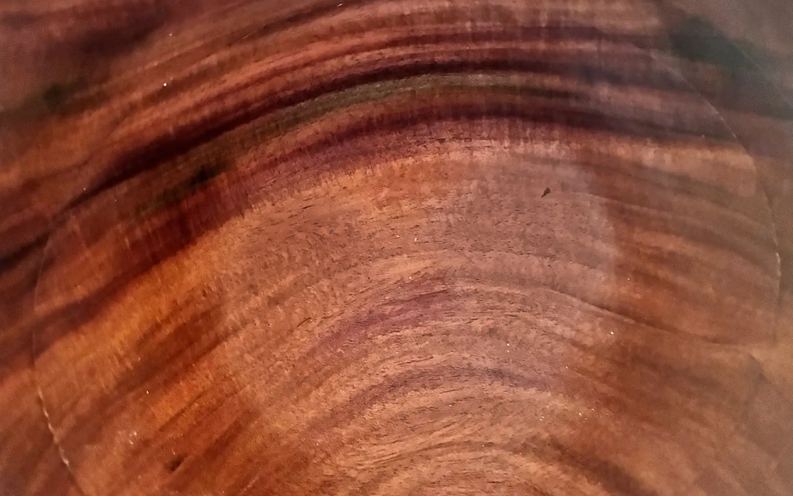 Close in on the inside of one of Kaleb’s mango bowls: red-brown grain, darker streaks and a ripple of figure