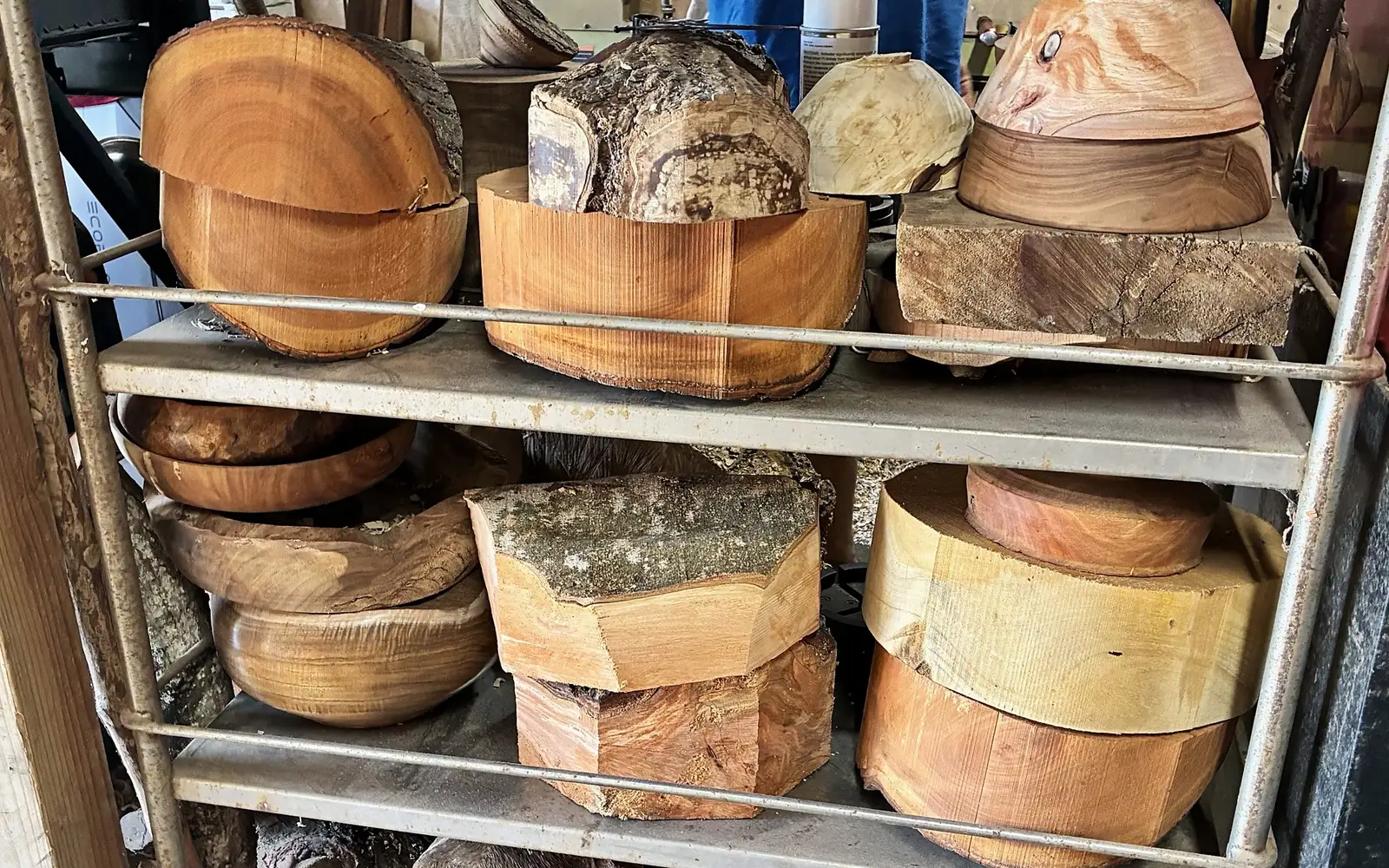 Kaleb’s rack of wood in the shop: rounds cut from the log, rough-turned bowls and blanks with the bark still on
