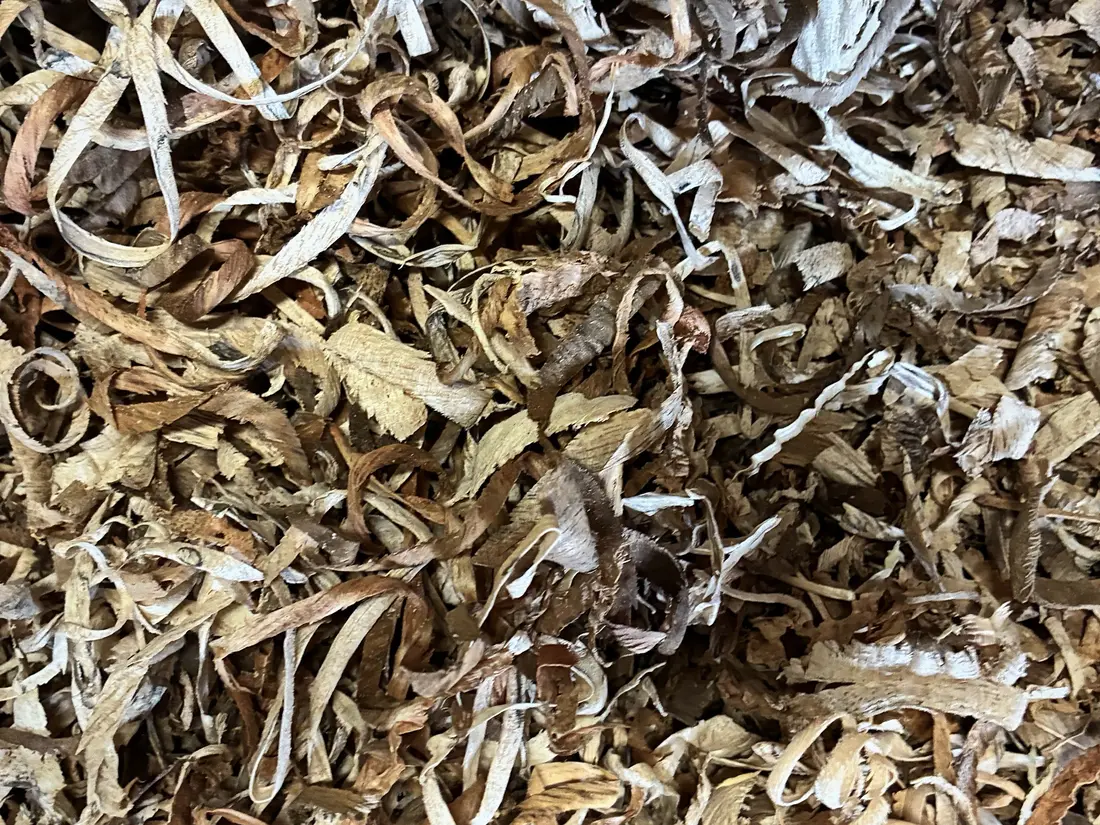 Wood shavings piled deep on the shop floor, pale curls and brown ones together